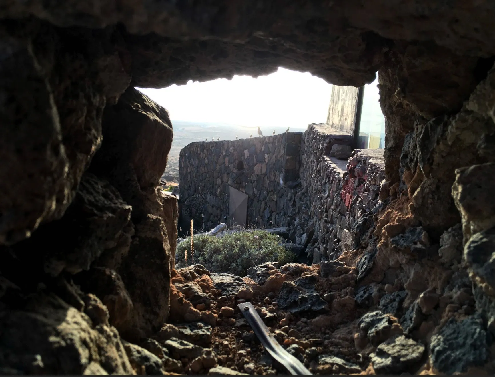 View through a wall on Lanzarote, a family of partridge in the background